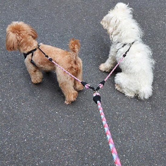 Laisse double pour chien | Confort optimal - Chiendoux
