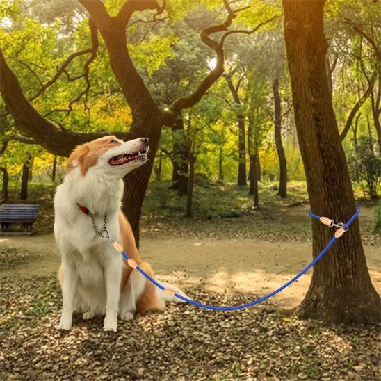 Laisse double pour chien | Sans Enchevêtrement - Chiendoux