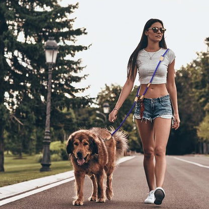 Laisse double pour chien | Sans Enchevêtrement - Chiendoux