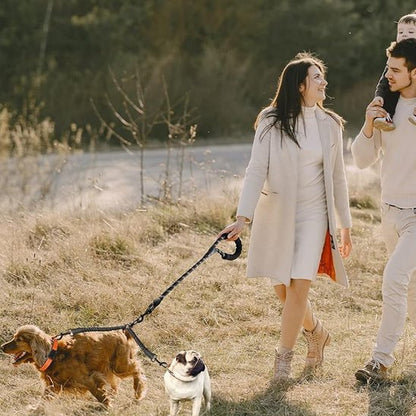 Laisse double pour chien | Sécurité et Confort | 1.5 + 0.5M - Chiendoux