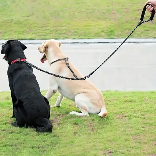 Laisse double pour chien | Sécurité et Confort | 1.5 + 0.5M - Chiendoux