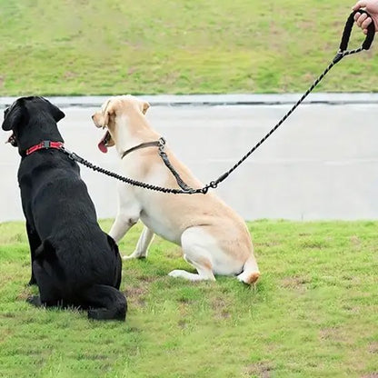 Laisse double pour chien | Sécurité et Confort | 1.5 + 0.5M - Chiendoux