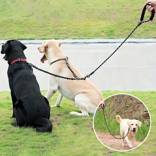 Laisse double pour chien | Sécurité et Confort | 1.5 + 0.5M - Chiendoux