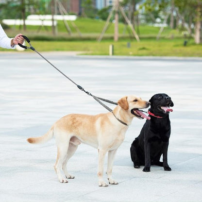 Laisse double pour chien | Sécurité et Confort | 1.5 + 0.5M - Chiendoux