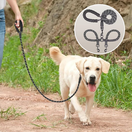Laisse double pour chien