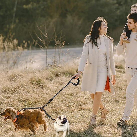 Laisse double pour chien