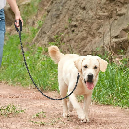 Laisse double pour chien