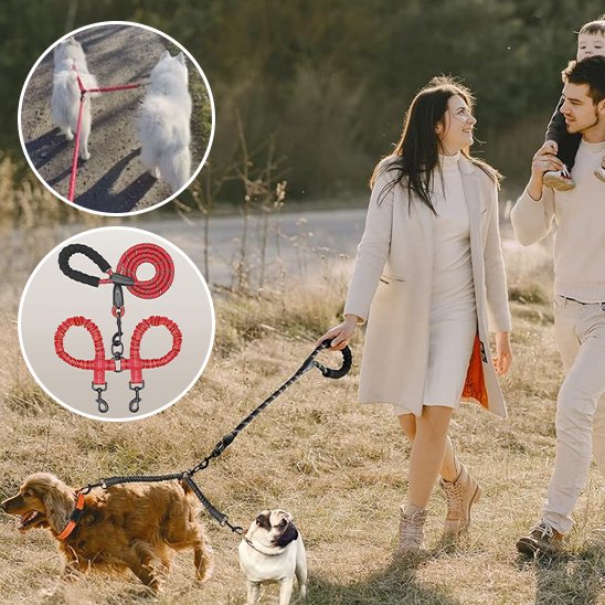 Laisse double pour chien