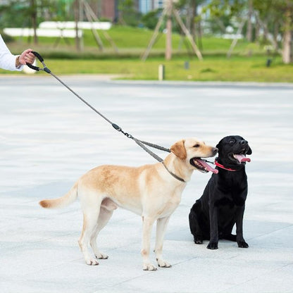 Laisse double pour chien