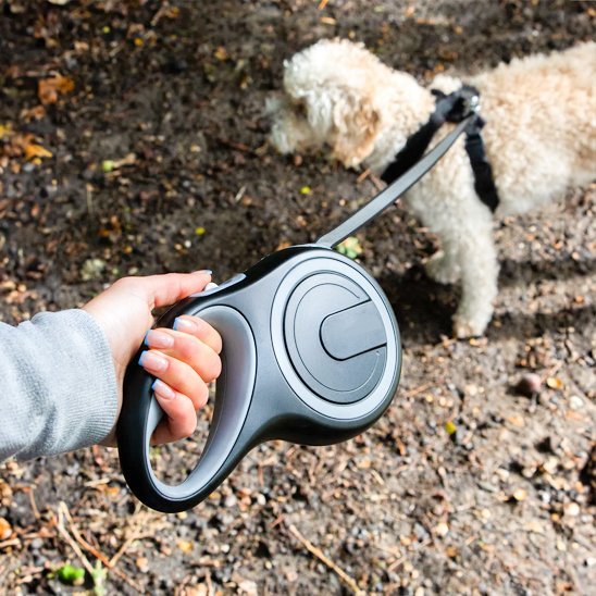 Laisse pour Chien | Robuste et Confortable - Chiendoux