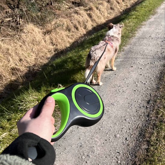 Laisse pour Chien | Robuste et Confortable - Chiendoux