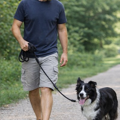 Longe pour Chien | Résistante et Confortable - Chiendoux