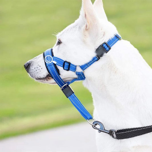 Muselière chien | Confort Sécurisé - Chiendoux