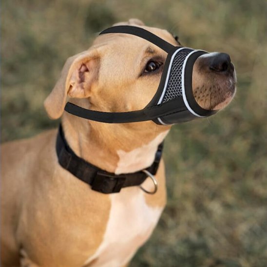 Muselière pour chien | Confort et Sécurité - Chiendoux