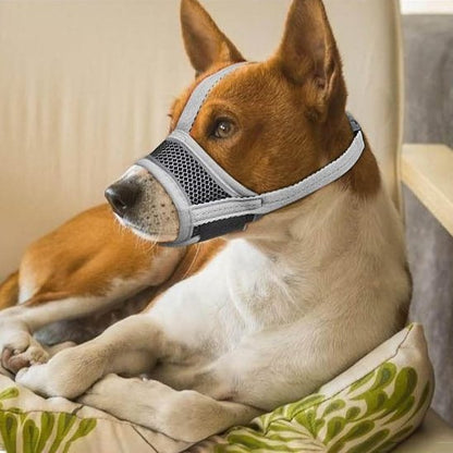 Muselière pour chien | Confort et Sécurité - Chiendoux