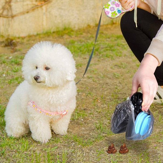 Ramasse-crottes pour chien | Pratique et Hygiénique - Chiendoux