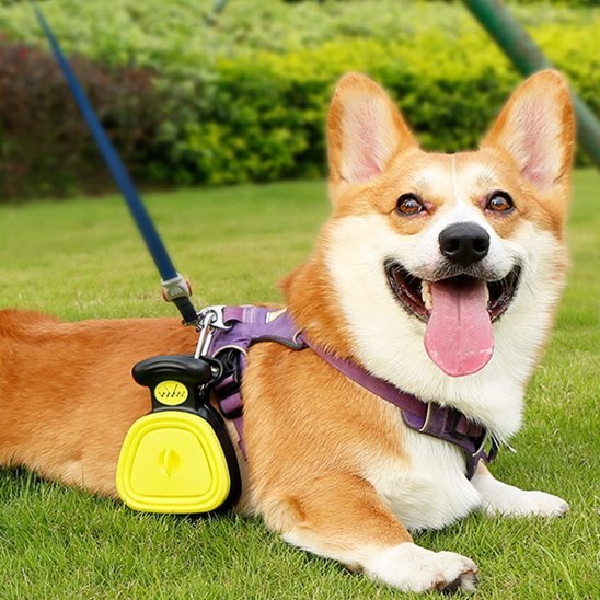 Ramasse-crottes pour chien | Pratique et Hygiénique - Chiendoux