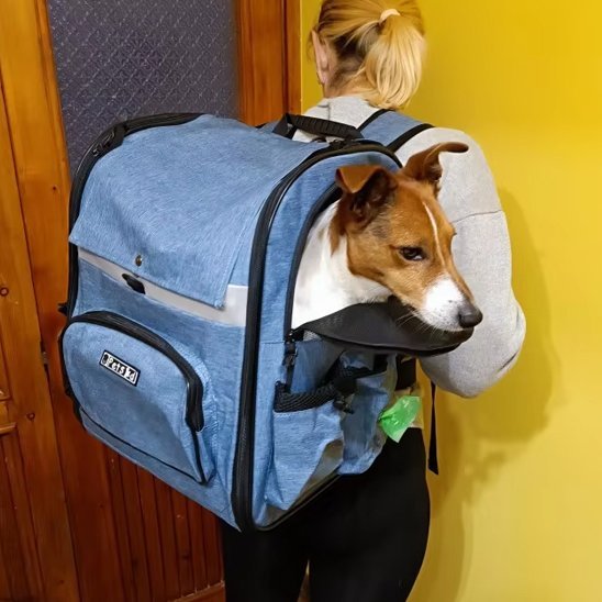 Sac de transport pour chien | Voyageur Confort - Chiendoux