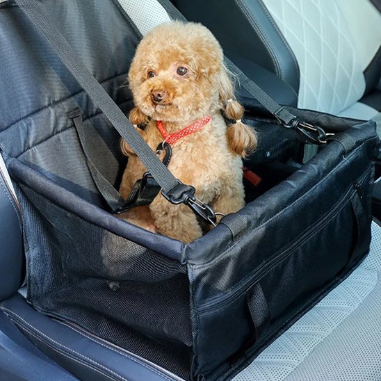 Siege auto pour chien | Securitas - Chiendoux