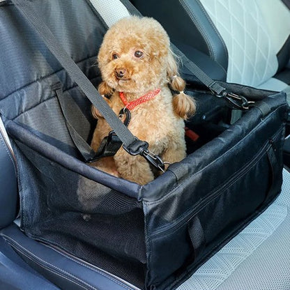 Siege auto pour chien | Securitas - Chiendoux