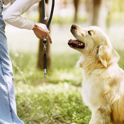 Sifflet à ultrason pour chien | Dressage efficace - Chiendoux