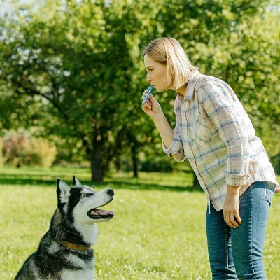 Sifflet à ultrason pour chien | Dressage efficace - Chiendoux
