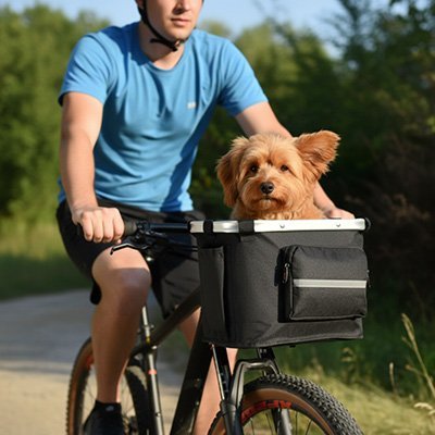 Vélo panier Chien | Sécurisé - Chiendoux